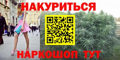сатива Краснознаменск