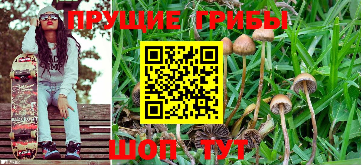 Железногорск  Галлюциногенные грибы MAGIC MUSHROOMS  Вход с VPN 